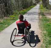 Vista de Bicicletas adaptadas