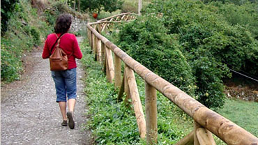 Vista de Vía Verde de la Senda del Oso