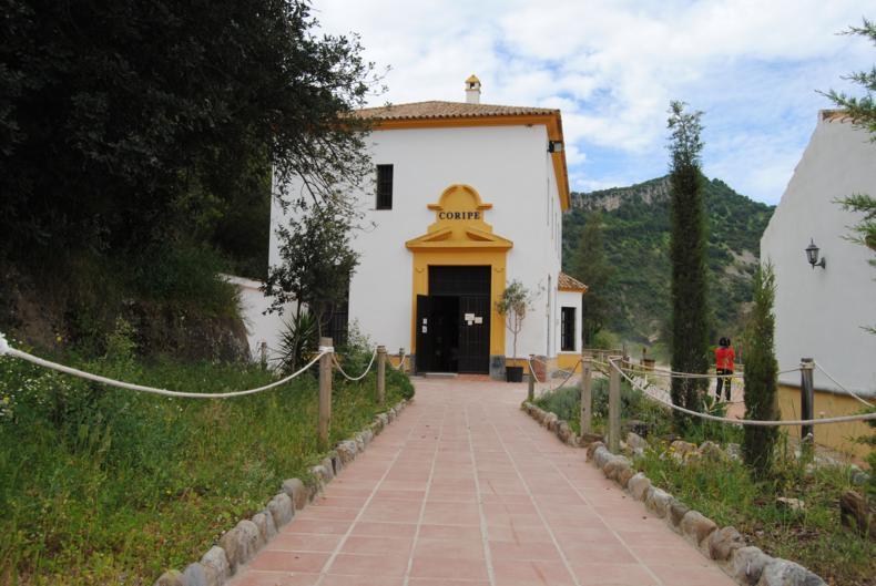 Vista de Restaurante Estación de Coripe